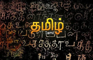 B.Lit Tamil